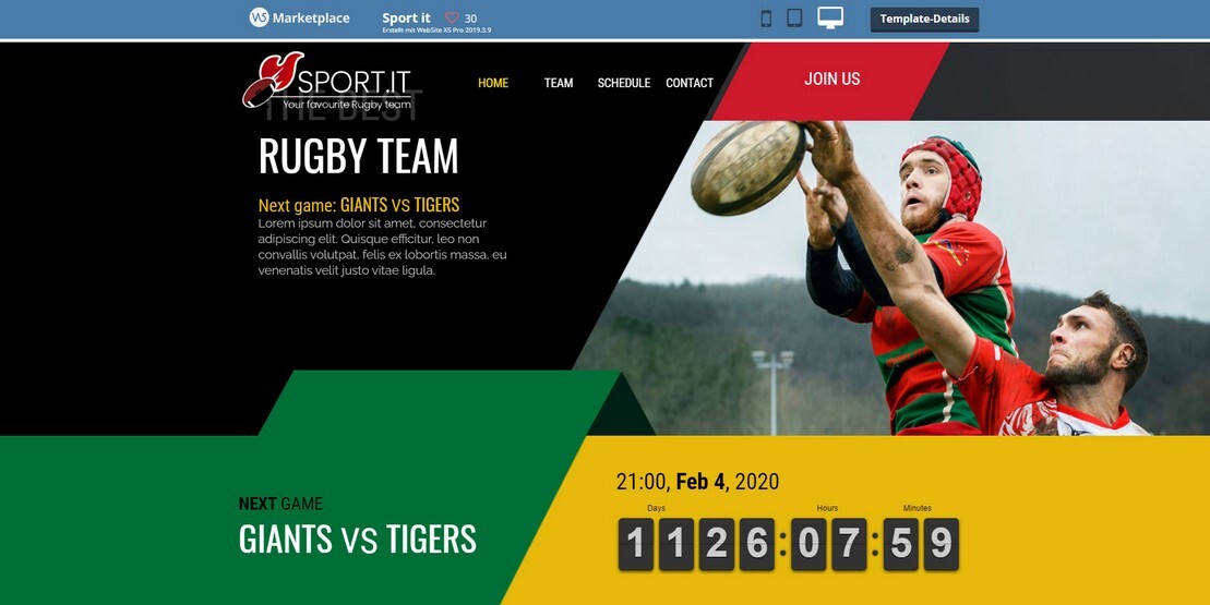 Onlineshop- und Webdesign-Vorlage Rugby Team1
